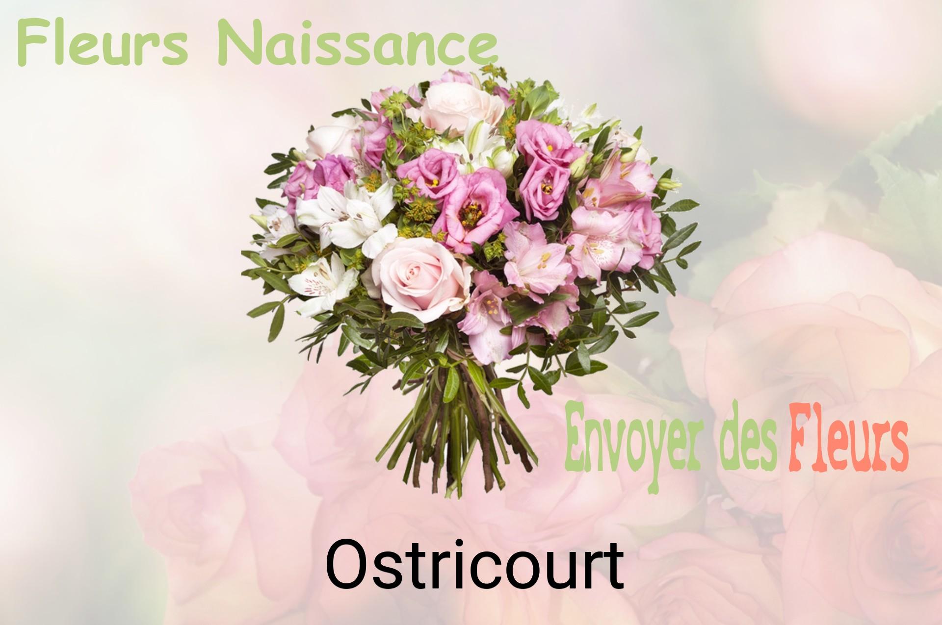 Bouquet de fleurs de naissance livré à Ostricourt
